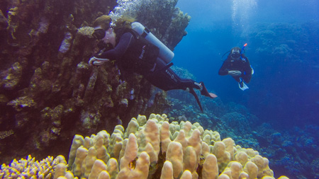 7 Nights & 5 Days Diving Package